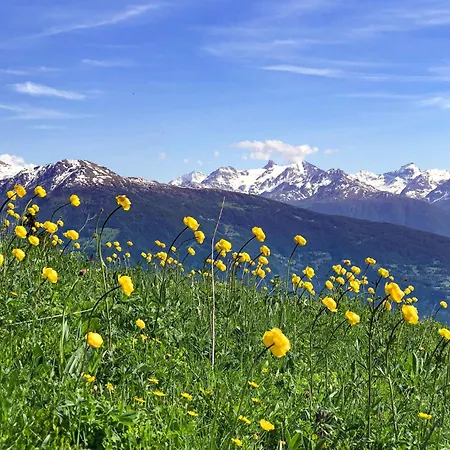Spacieux De 4,5 Pieces Avec Vue Sur Les Alpes 公寓