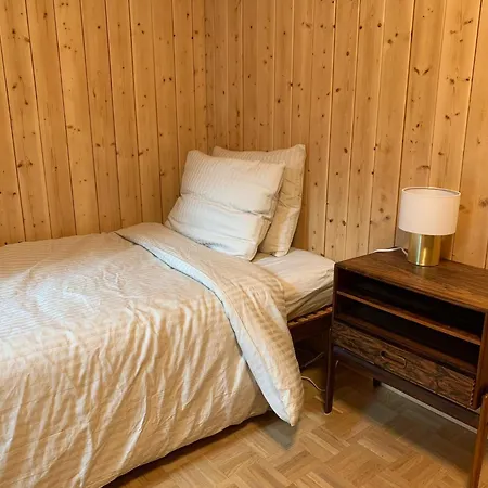 Spacieux De 4,5 Pieces Avec Vue Sur Les Alpes Appartement *