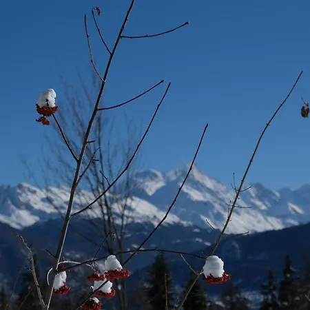 Spacieux De 4,5 Pieces Avec Vue Sur Les Alpes Apartment *