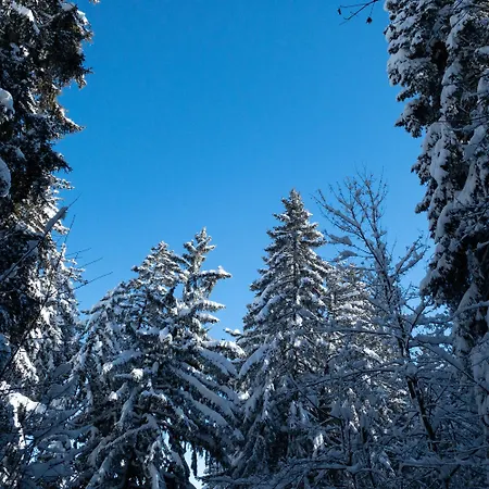 Spacieux De 4,5 Pieces Avec Vue Sur Les Alpes Apartment Crans-Montana